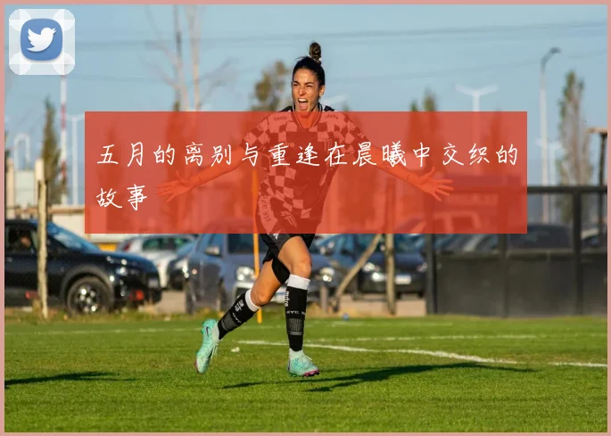五月的离别与重逢在晨曦中交织的故事